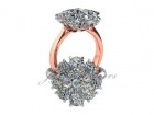 Delphini - Photo #6