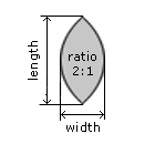 Marquise Cut Ratio Marquise Cut Ratio